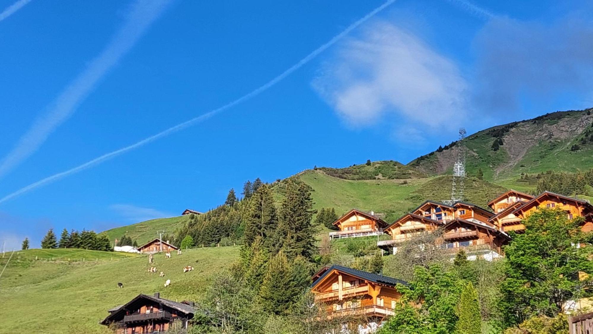 Alpage Immo Location Service Champoussin Exterior foto